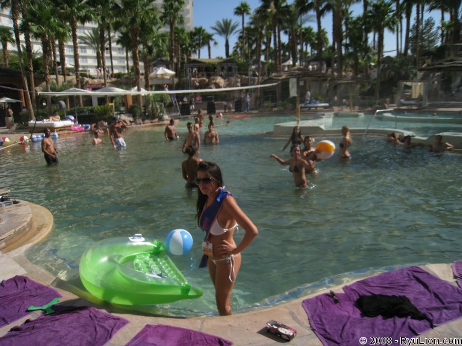 Xbiz Summer Forum - Vegas Pics 2008 img_0048 126 KB