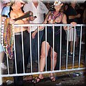 Fantasy Fest 09 - Key West, FL 1524.jpg