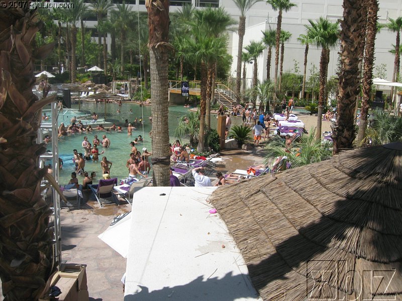 Xbiz Summer Forum 2007 Pics img_1588