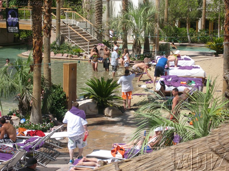 Xbiz Summer Forum 2007 Pics img_1591