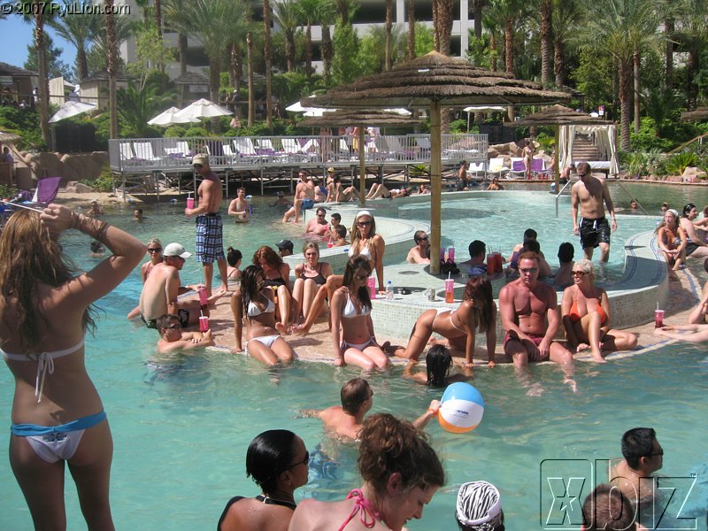 Xbiz Summer Forum 2007 Pics img_1597